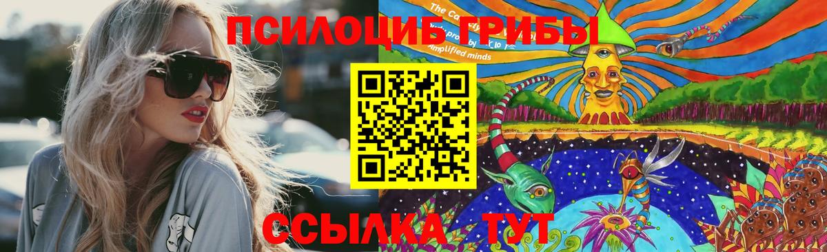 Псилоцибиновые грибы GOLDEN TEACHER Ростов Великий